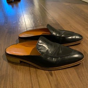 Everlane Loafer